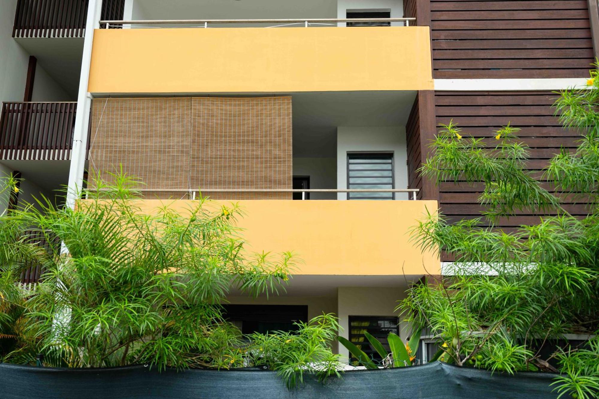 Hibiscus Standing- Appartement Cosy- 2 Chambres Climatisees- Cuisine Equipee- Wifi-Terrasse Cayenne Eksteriør bilde